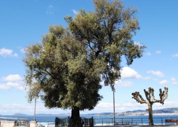 Los espíritus de la ciudad