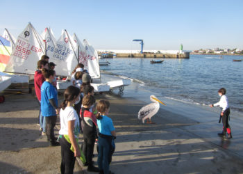 Aparece un pelícano en el puerto vigués de Canido