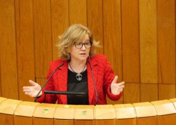 El BNG pide que Comesaña comparezca en el Parlamento por la situación sanitaria en Vigo