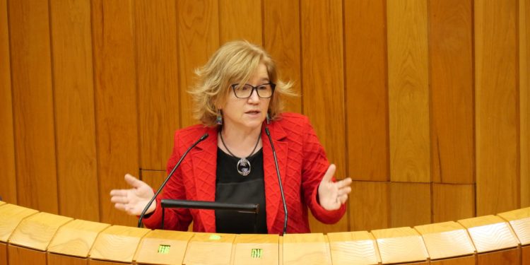 El BNG pide que Comesaña comparezca en el Parlamento por la situación sanitaria en Vigo