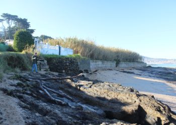 Nigrán habilitará dúas praias para cans durante todo o ano