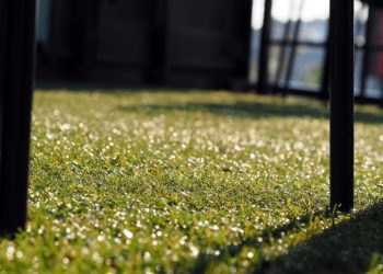 Descubre las ventajas del césped artificial y en qué sitios se puede colocar