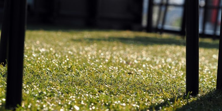 Descubre las ventajas del césped artificial y en qué sitios se puede colocar
