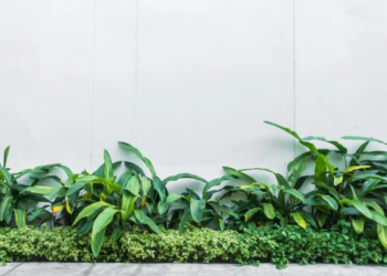 ¿Qué productos mejoran el cuidado del jardín del hogar?