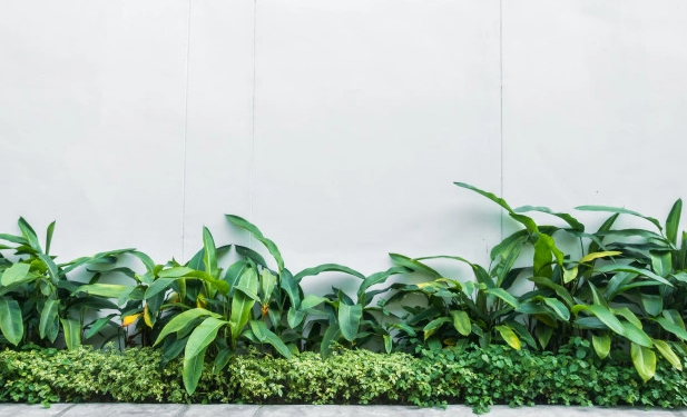 ¿Qué productos mejoran el cuidado del jardín del hogar?