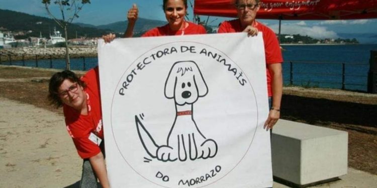 La Protectora de Animales del Morrazo estrena el año lanzando su primer libro al mercado