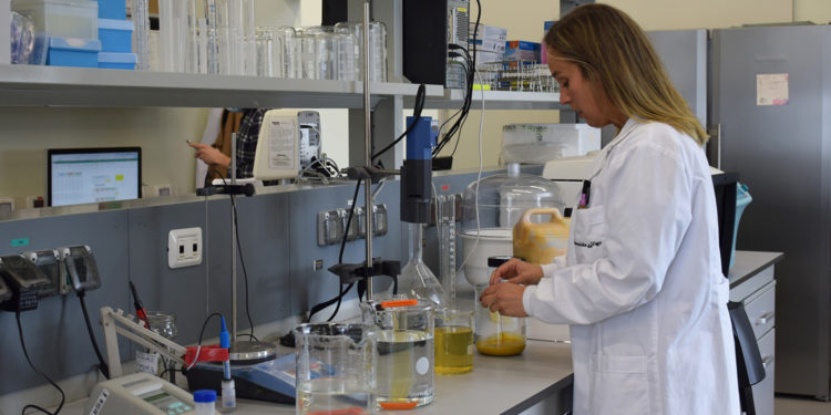 1,5 millóns de euros para pór en marcha 10 proxectos que aceleren a chegada ao mercado dos resultados de I+D