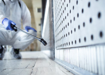 Decir adiós a las plagas de la mano de los mejores profesionales de la Costa del Sol