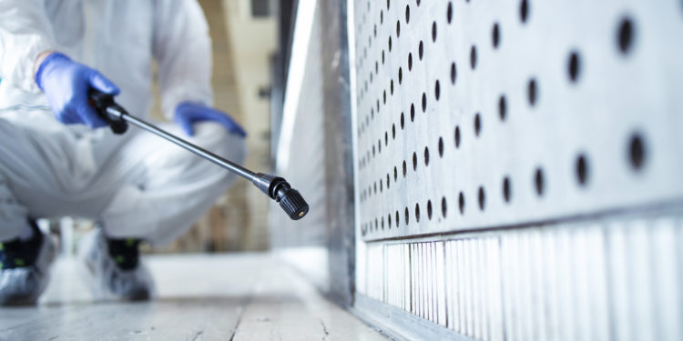 Decir adiós a las plagas de la mano de los mejores profesionales de la Costa del Sol