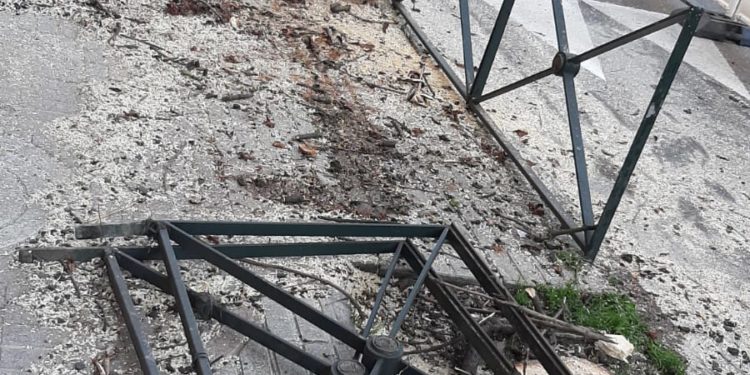 BNG e Marea de Vigo claman contra os «arboricidios» e piden políticas de protección medioambiental