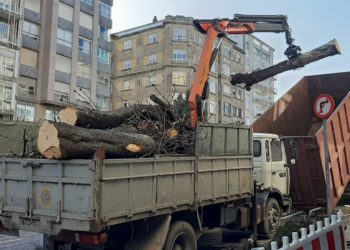 BNG e Marea de Vigo claman contra os «arboricidios» e piden políticas de protección medioambiental
