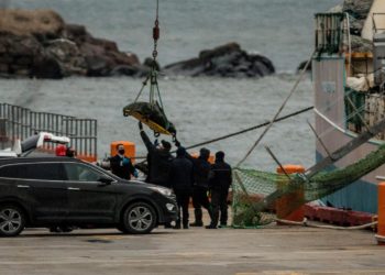 Más de 54.000 firmas en 24 horas para reactivar la búsqueda en Terranova