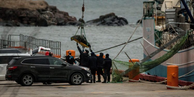Más de 54.000 firmas en 24 horas para reactivar la búsqueda en Terranova