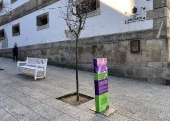 El impacto del contador de la violencia de género