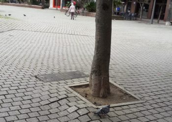 O BNG de Vigo pide actuar ante o “abandono” da Praza da Independencia