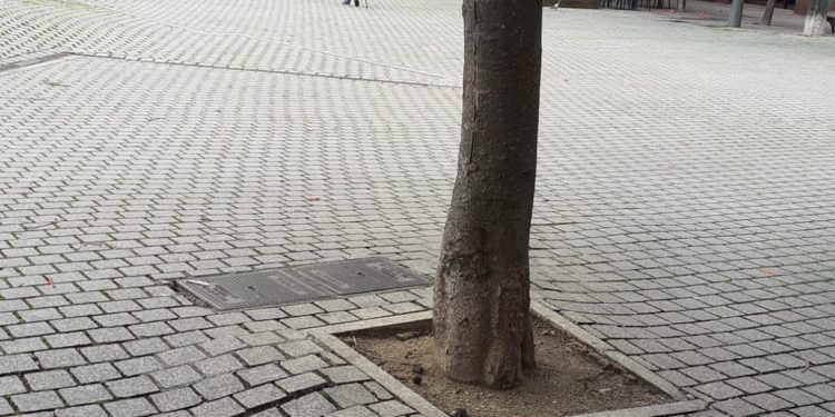 O BNG de Vigo pide actuar ante o “abandono” da Praza da Independencia