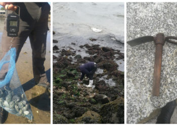 Detectados tres furtivos, uno reincidente, con almejas y centollos en tres playas de Vigo