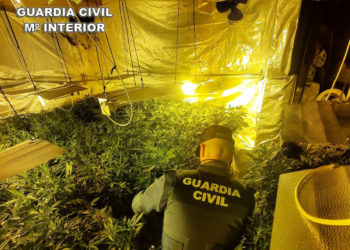 Una plantación “indoor” de marihuana con enganche ilegal a la red pública eléctrica en Tomiño