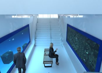 El proyecto ‘Living Ports’ mete al puerto de Vigo en la final de los ‘Oscar del Medio Ambiente’