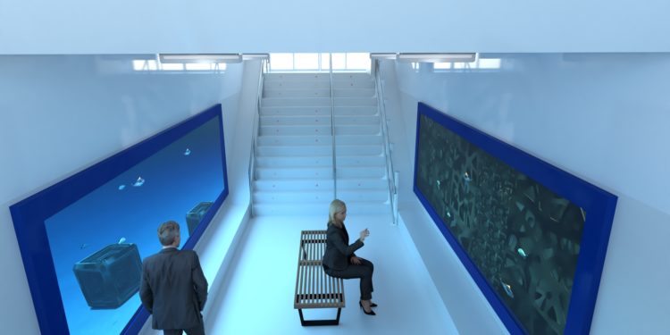 El proyecto ‘Living Ports’ mete al puerto de Vigo en la final de los ‘Oscar del Medio Ambiente’