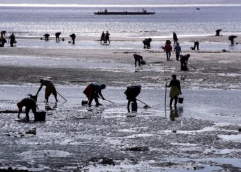 Las mujeres de la pesca piden un acelerador de su ruta laboral a la igualdad