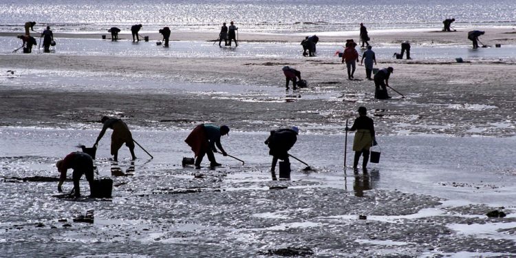 Las mujeres de la pesca piden un acelerador de su ruta laboral a la igualdad
