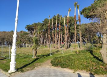 Patrimonio Cultural autoriza el proyecto de recuperación del sistema dunar de Samil