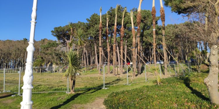 Patrimonio Cultural autoriza el proyecto de recuperación del sistema dunar de Samil