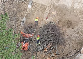 Nueva tala de árboles en Vigo: la reforma de la Miñoca acaba con 26 ejemplares