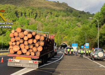 Interceptan en la A-52 a un camión que transportaba madera con riesgo de caída