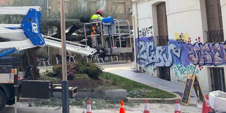 Jardinería urbana en Vigo