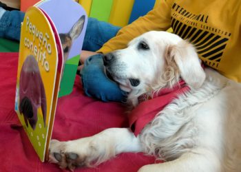Un ‘recomendador’ de libros y un taller infantil con perros para fomentar la lectura en Vigo