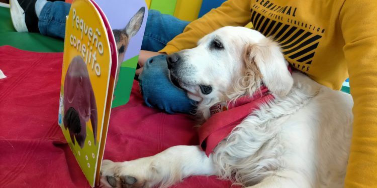 Un ‘recomendador’ de libros y un taller infantil con perros para fomentar la lectura en Vigo