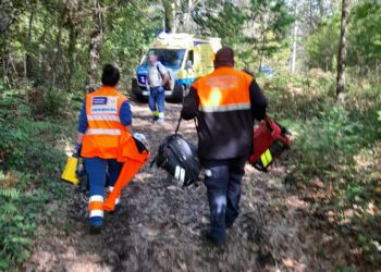 Muere un hombre en Vilaboa tras ser alcanzado por un árbol que talaba en una finca