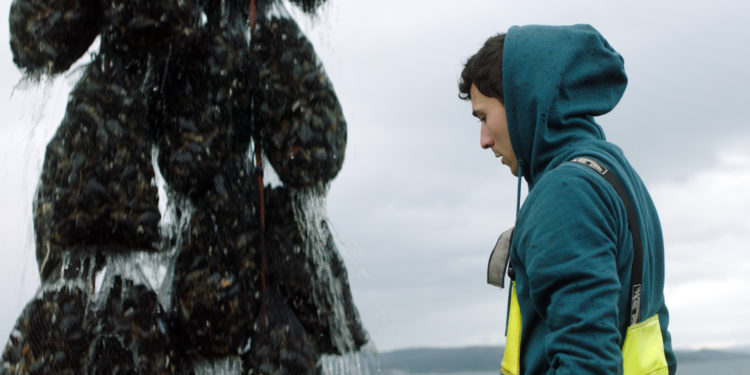 Lois Patiño, Eloy Domínguez ou Lucía Estévez competirán no Festival de Cans