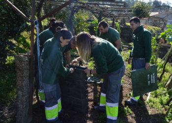 Mos estende a compostaxe ao interior das casas cunha nova entrega gratuíta de composteiros