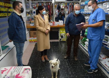 Mos subvencionará microchips para previr o abandono e perda de mascotas