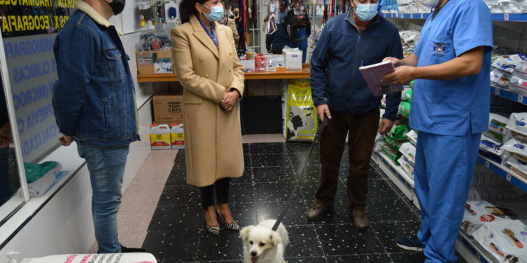 Mos subvencionará microchips para previr o abandono e perda de mascotas