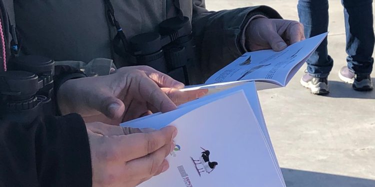 ‘Voando nas Rías Baixas’ abre a inscrición para a camiñada guiada e gratuíta polo Monte Aloia