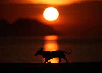 Una masa de aire muy cálida llega a Galicia: aviso por temperaturas máximas y tormentas