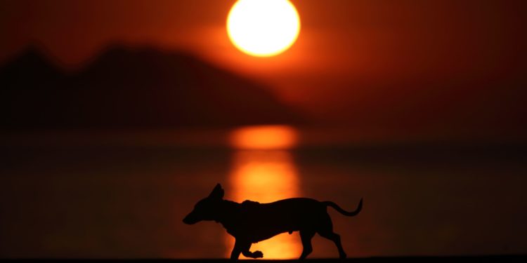 Una masa de aire muy cálida llega a Galicia: aviso por temperaturas máximas y tormentas