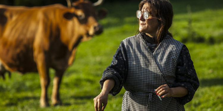 O festival de Cans súmase á celebración do Día das Letras cunha xornada de cinema e arquitectura galegos