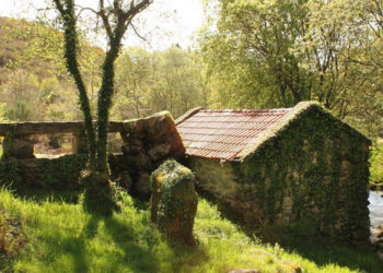 Bosques terapéuticos coas xoias naturais da provincia: 38 rutas e 600 prazas