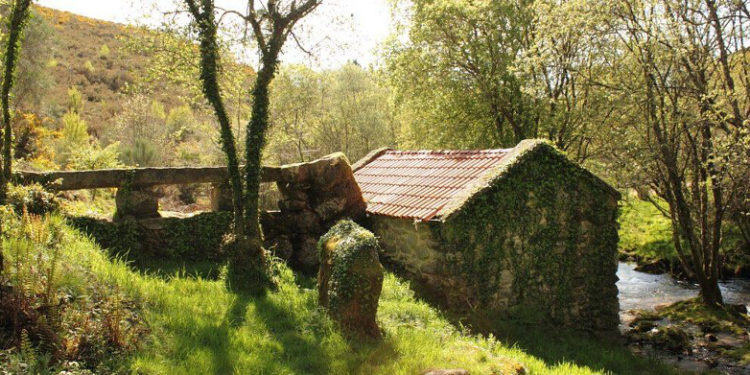 Bosques terapéuticos coas xoias naturais da provincia: 38 rutas e 600 prazas