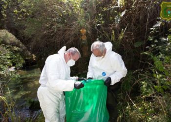 Investigado por matar a dos perras tirándolas al río Tea