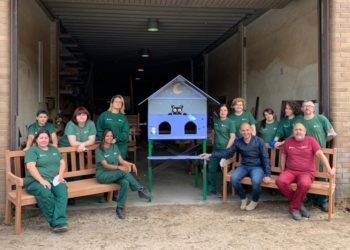 O Porriño instalará casetas para gatos en la calle