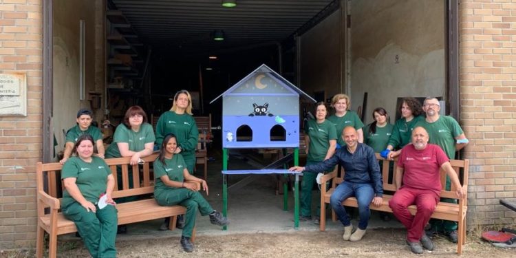 O Porriño instalará casetas para gatos en la calle