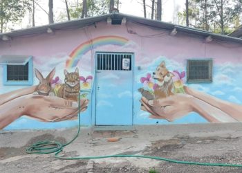 La protectora Os Biosbardos, “sin palabras” tras la intervención artística de Eva Casais