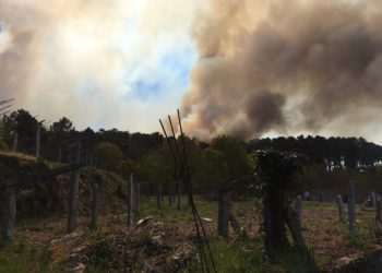 Pasa a disposición judicial el sospechoso de causar 12 incendios forestales en Ponteareas y Salvaterra