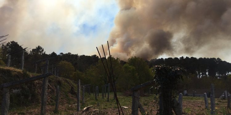 Pasa a disposición judicial el sospechoso de causar 12 incendios forestales en Ponteareas y Salvaterra